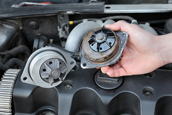 5 Clear Signs Your Water Pump Needs Attention | Complete Automotive Repair Specialists, LLC